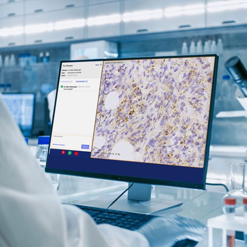 Image of a professional conducting image analysis on Corista DP3 Platform Image Management Platform Interface Image of a professional conducting image analysis on Corista DP3 Platform Image Management Platform Interface